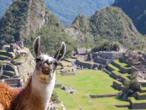 Alternative Machu Picchu Tours